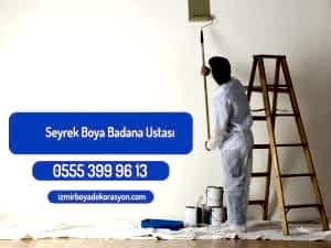 Seyrek Boya Badana Ustası